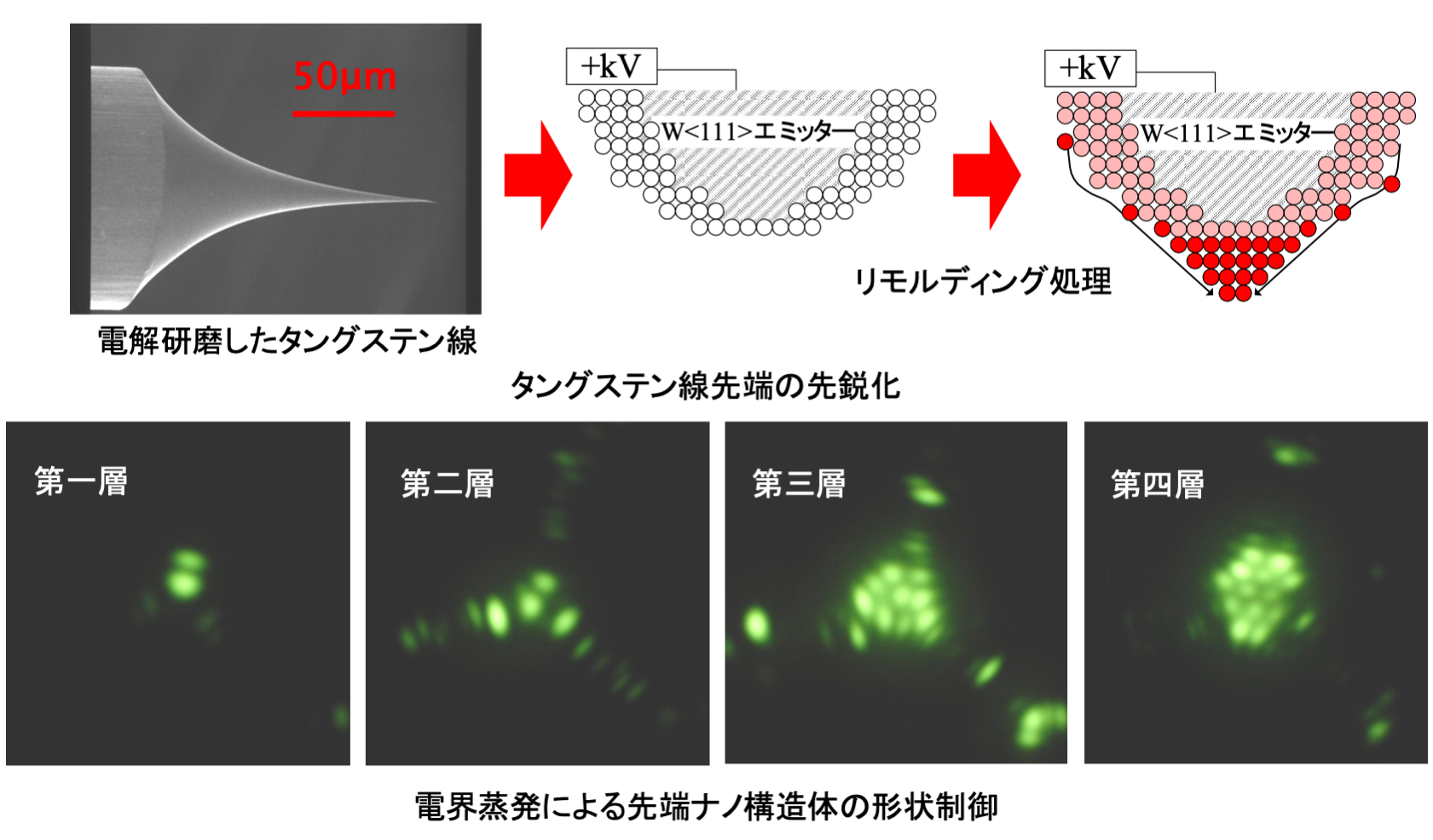 研究コンテンツ小林ｈｐ