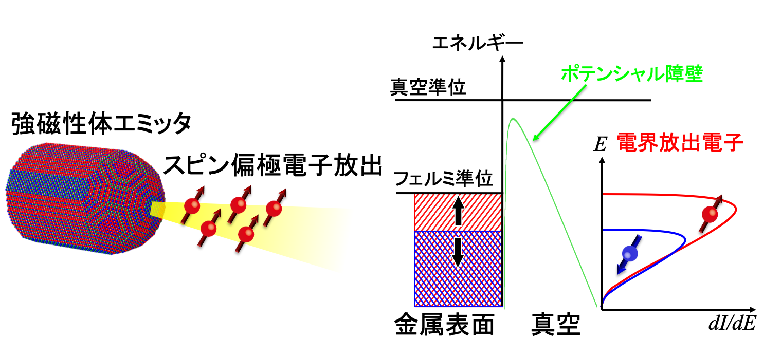 スピン偏極電子源の概念図